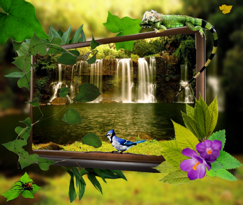 �������� � ����� paint.net