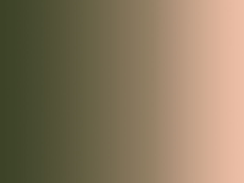 �������� � ����� paint.net