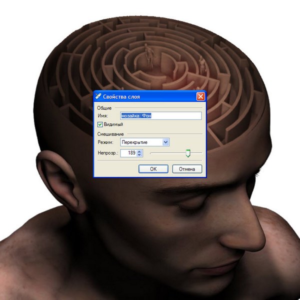 �������� � ����� paint.net