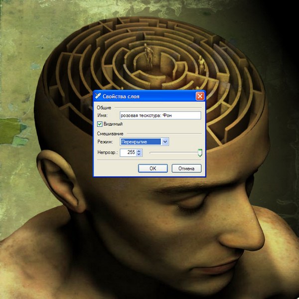 �������� � ����� paint.net