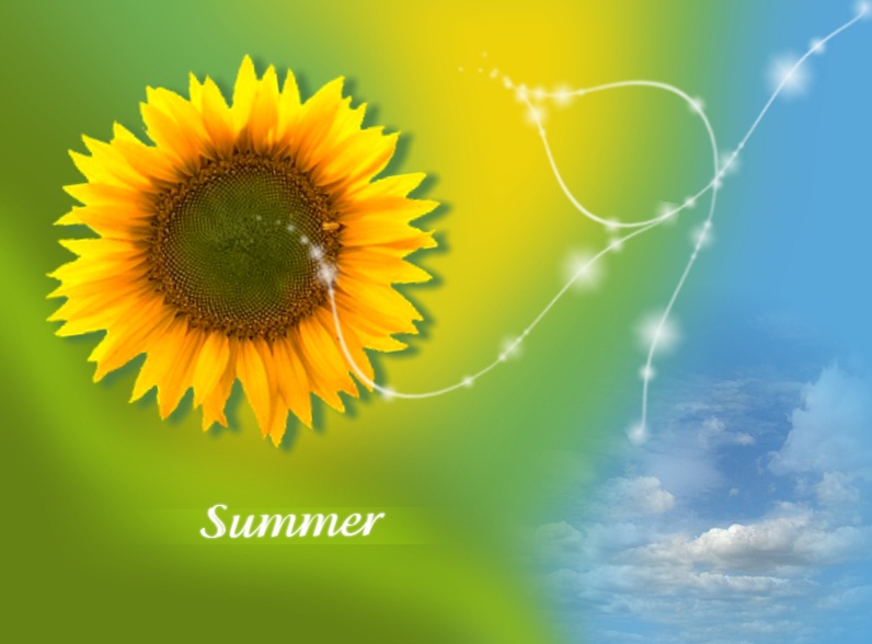 �������� � ����� paint.net