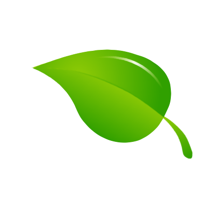 �������� � ����� paint.net