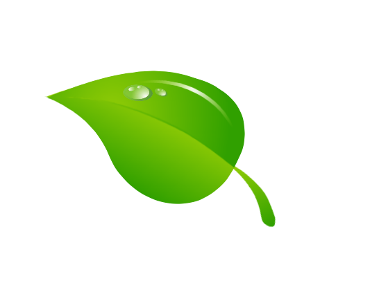 �������� � ����� paint.net