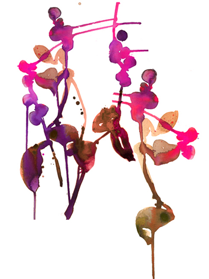 �������� � ����� paint.net