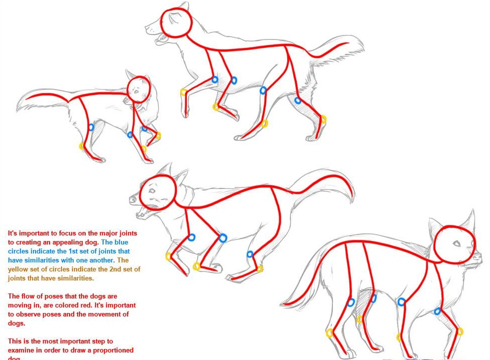 Схема собаки рисунок. Собака рисунок схема в движении. Поэтапное рисование собаки. Нарисовать собаку в движении. Поэтапное рисование бега собаки.